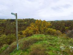 16_2025-11-01_Nette-Schieferpfad