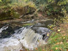 29_2025-11-01_Nette-Schieferpfad