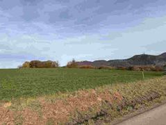 07_2025-11-05_Von_Mehlem_ins_Ländchen