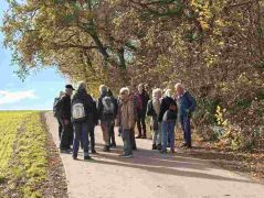 09_2025-11-05_Von_Mehlem_ins_Ländchen