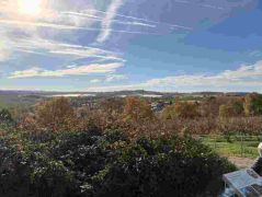 16_2025-11-05_Von_Mehlem_ins_Ländchen