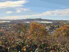 20_2025-11-05_Von_Mehlem_ins_Ländchen