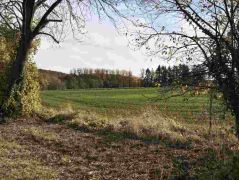 22_2025-11-05_Von_Mehlem_ins_Ländchen