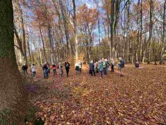 24_2025-11-05_Von_Mehlem_ins_Ländchen