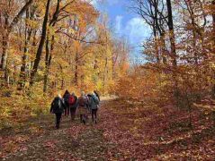 27_2025-11-05_Von_Mehlem_ins_Ländchen