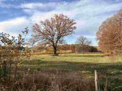 30_2025-11-05_Von_Mehlem_ins_Ländchen