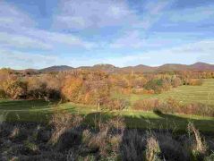 35_2025-11-05_Von_Mehlem_ins_Ländchen