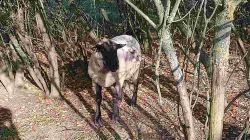 02_2025-11-08_Römerkanal_7