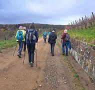 02_2025-11-15_Birnen_und_Rotwein