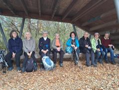 03_2025-11-15_Birnen_und_Rotwein