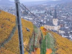 11_2025-11-15_Birnen_und_Rotwein