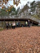 12_2025-11-15_Birnen_und_Rotwein