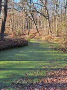 12_2025-11-22_Apollinarisschleife