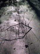 13_2025-11-22_Apollinarisschleife