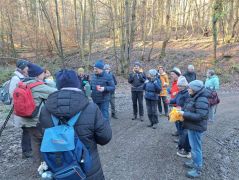 23_2025-11-22_Apollinarisschleife