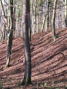 26_2025-11-22_Apollinarisschleife