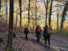 29_2025-11-22_Apollinarisschleife