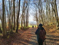 31_2025-11-22_Apollinarisschleife