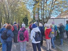 01_2026-04-08_Apfelblüte