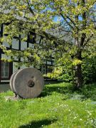 39_2026-04-18_Mäuseturm_Wanderung